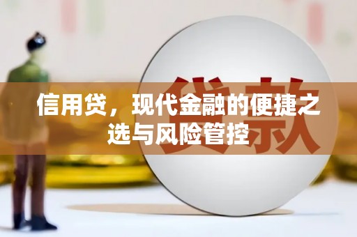 保税港区信用贷，现代金融的便捷之选与风险管控