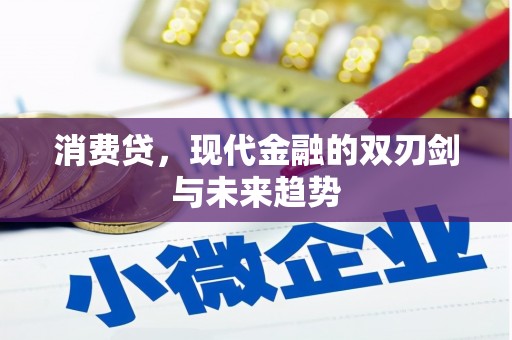 保税港区消费贷，现代金融的双刃剑与未来趋势