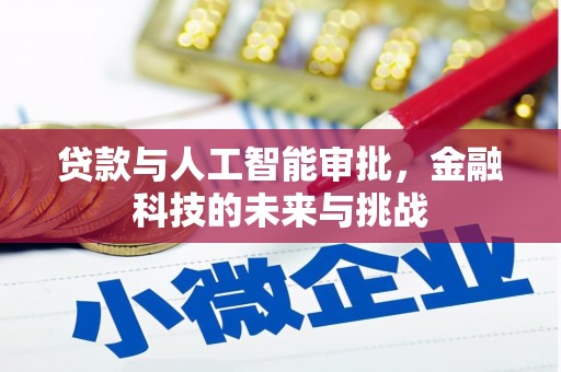 保税港区贷款与人工智能审批，金融科技的未来与挑战