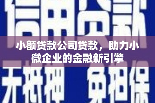 保税港区小额贷款公司贷款，助力小微企业的金融新引擎