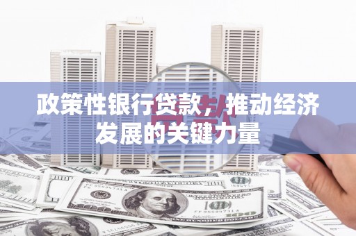 保税港区政策性银行贷款，推动经济发展的关键力量