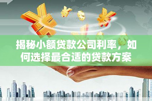 保税港区揭秘小额贷款公司利率，如何选择最合适的贷款方案