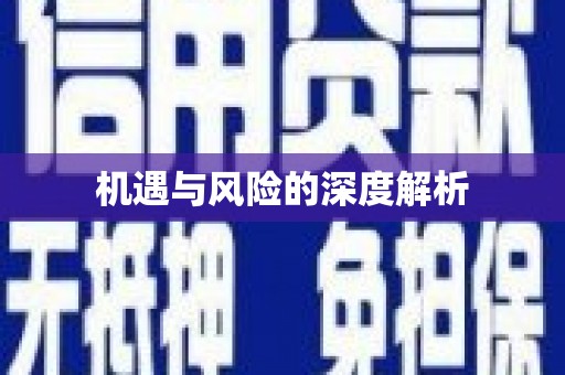 保税港区机遇与风险的深度解析