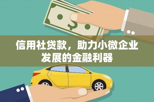 保税港区信用社贷款，助力小微企业发展的金融利器