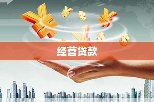 保税港区经营贷款