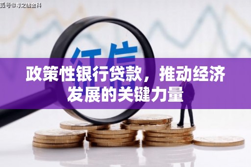 保税港区政策性银行贷款，推动经济发展的关键力量