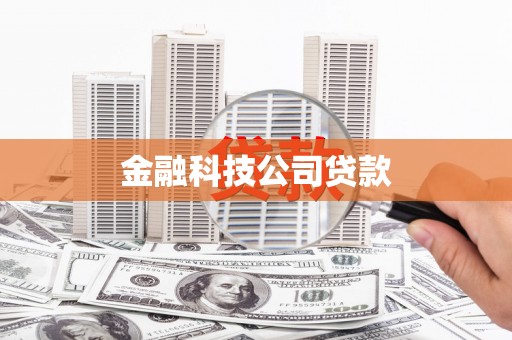 保税港区金融科技公司贷款