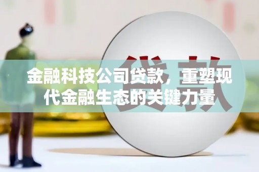 保税港区金融科技公司贷款，重塑现代金融生态的关键力量