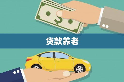 保税港区贷款养老
