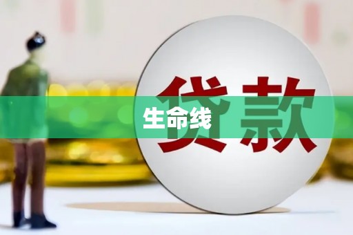 保税港区生命线
