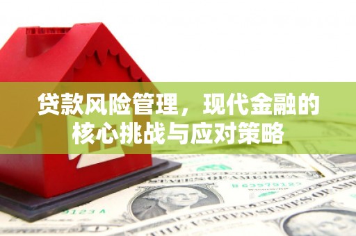 保税港区贷款风险管理，现代金融的核心挑战与应对策略