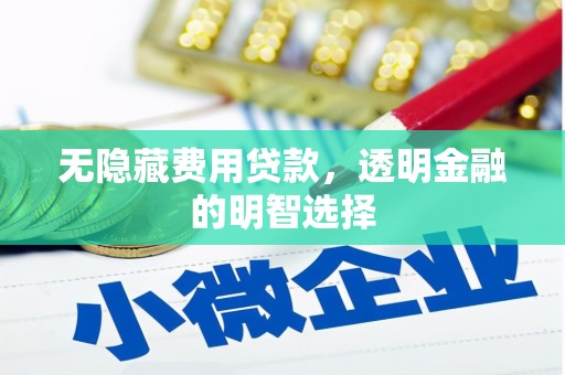 保税港区无隐藏费用贷款，透明金融的明智选择