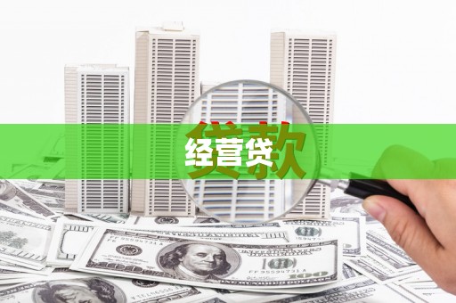 保税港区经营贷