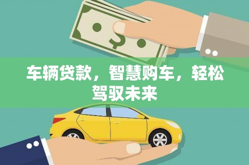 保税港区车辆贷款，智慧购车，轻松驾驭未来