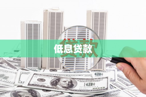 保税港区低息贷款