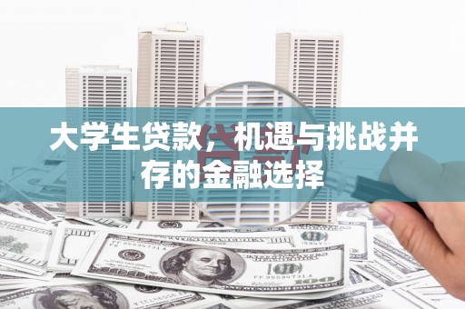 保税港区大学生贷款，机遇与挑战并存的金融选择