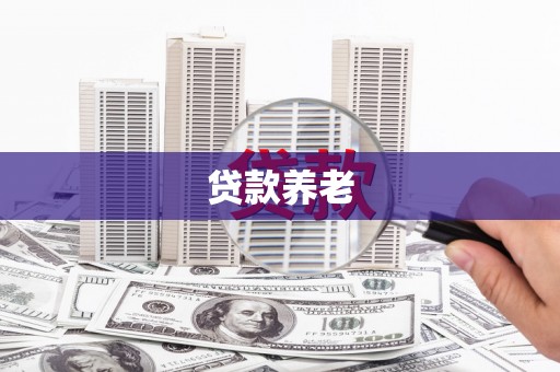 保税港区贷款养老