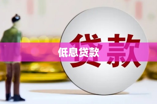 保税港区低息贷款