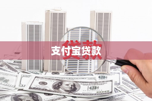 保税港区支付宝贷款
