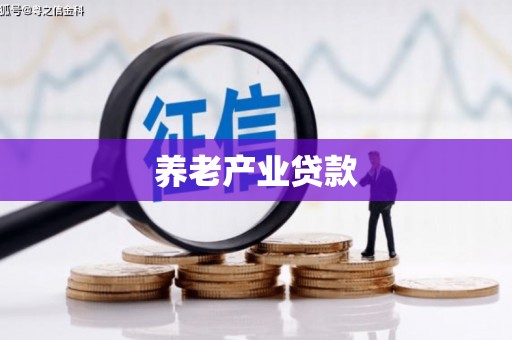 保税港区养老产业贷款
