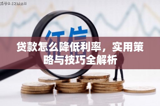 保税港区贷款怎么降低利率，实用策略与技巧全解析