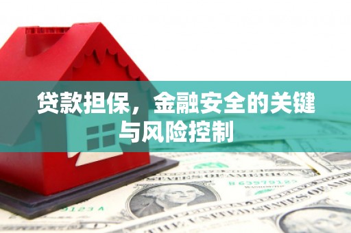 保税港区贷款担保，金融安全的关键与风险控制
