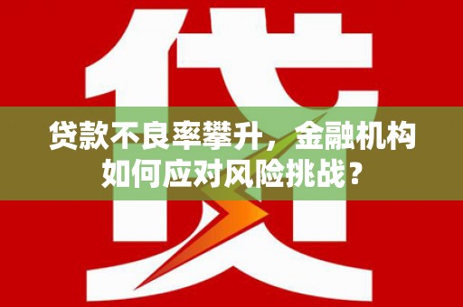 保税港区贷款不良率攀升，金融机构如何应对风险挑战？