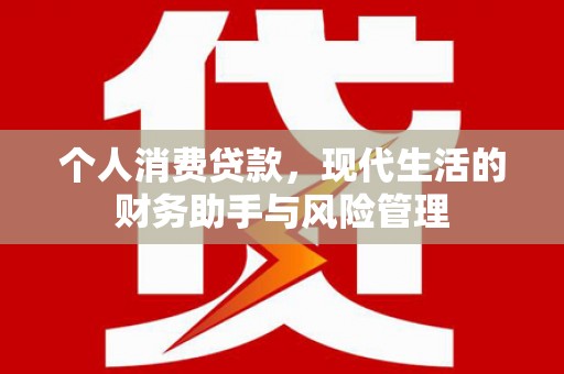 保税港区个人消费贷款，现代生活的财务助手与风险管理