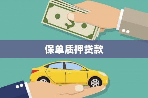 保税港区保单质押贷款