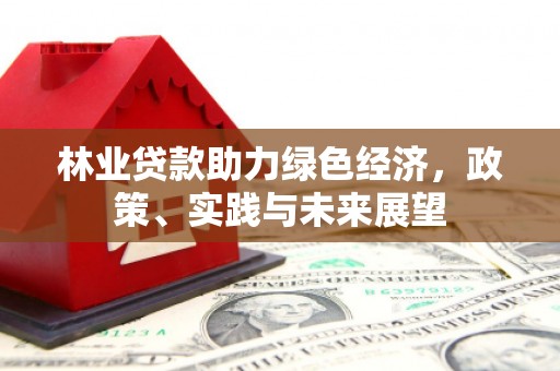 保税港区林业贷款助力绿色经济，政策、实践与未来展望