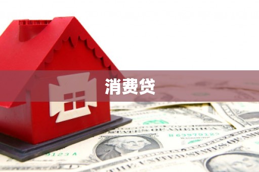 保税港区消费贷