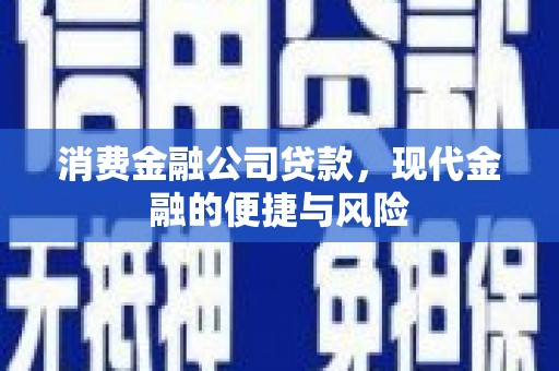 保税港区消费金融公司贷款，现代金融的便捷与风险