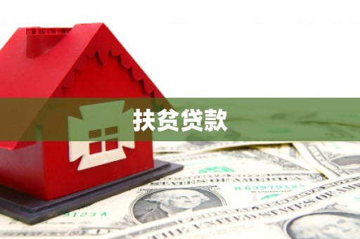 保税港区扶贫贷款
