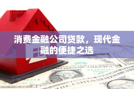 保税港区消费金融公司贷款，现代金融的便捷之选