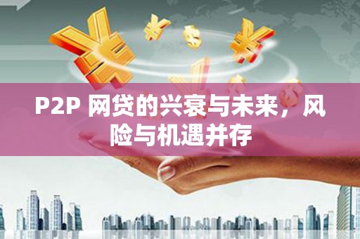 保税港区P2P 网贷的兴衰与未来，风险与机遇并存