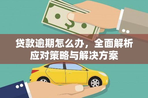 保税港区贷款逾期怎么办，全面解析应对策略与解决方案