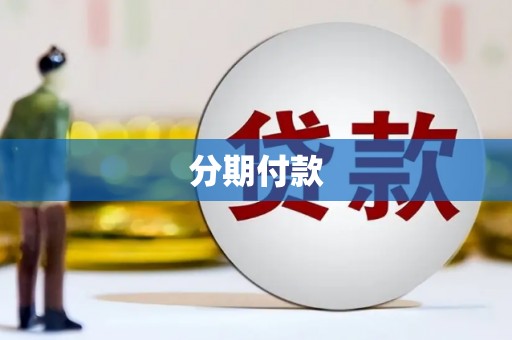 保税港区分期付款