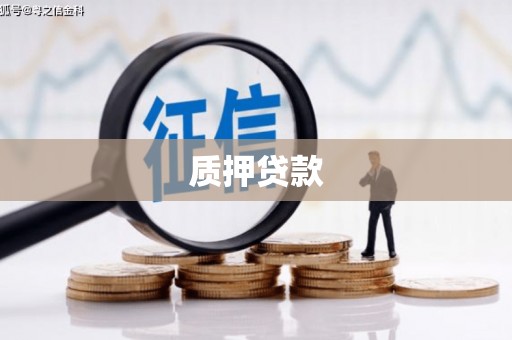 保税港区质押贷款