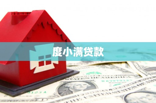 保税港区度小满贷款