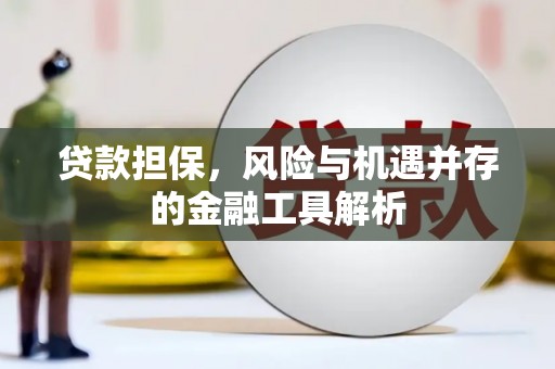 保税港区贷款担保，风险与机遇并存的金融工具解析