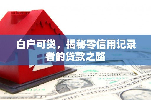 保税港区白户可贷，揭秘零信用记录者的贷款之路