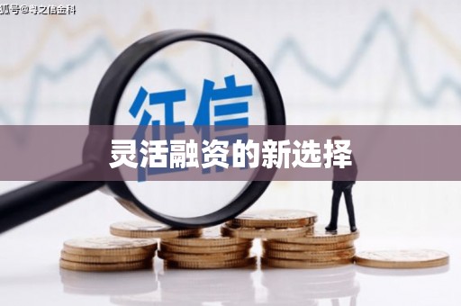 保税港区灵活融资的新选择