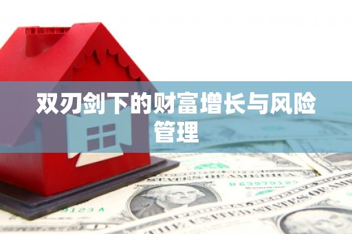 保税港区双刃剑下的财富增长与风险管理