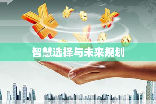 保税港区智慧选择与未来规划