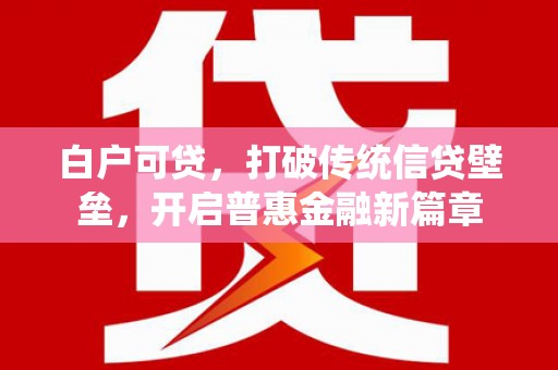 保税港区白户可贷，打破传统信贷壁垒，开启普惠金融新篇章