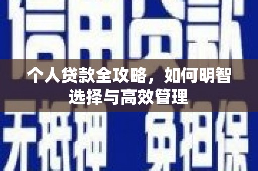 保税港区个人贷款全攻略，如何明智选择与高效管理