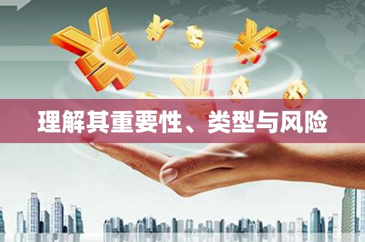 保税港区理解其重要性、类型与风险