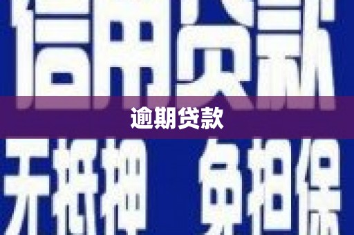 保税港区逾期贷款