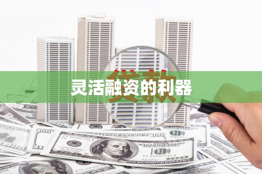 保税港区灵活融资的利器