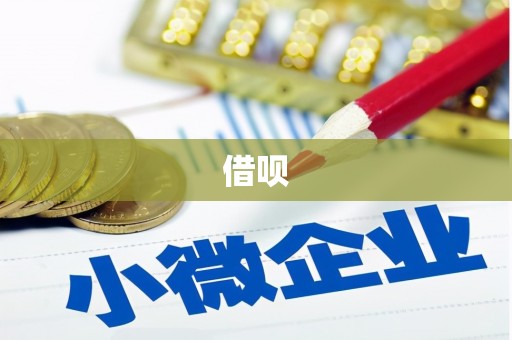 保税港区借呗